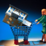 HouseinShoppingCart